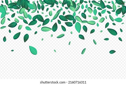 Grassy Leaf Forest Vector Transparent Background Background. Organic Greens Border. Swamp Foliage Blur Brochure. Leaves Tree Poster.
