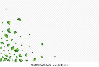 Grassy Leaf Forest Vector Transparent Background. Organic Leaves Template. Forest Greens Spring Backdrop. Foliage Realistic Brochure.