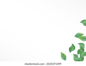 Grassy Leaf Forest Vector White Background Brochure. Fly Foliage Plant. Lime Leaves Blur Branch. Greenery Tree Concept.