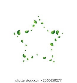 Grassy Leaf Fresh Vector White Background. Falling Foliage Plant. Green Leaves Spring Template. Greens Forest Poster.