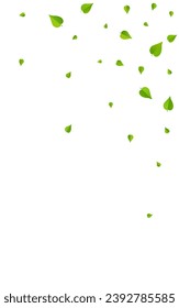 Grassy Leaf Herbal Vector White Background Backdrop. Fresh Greens Template. Lime Leaves Falling Branch. Foliage Fly Wallpaper.