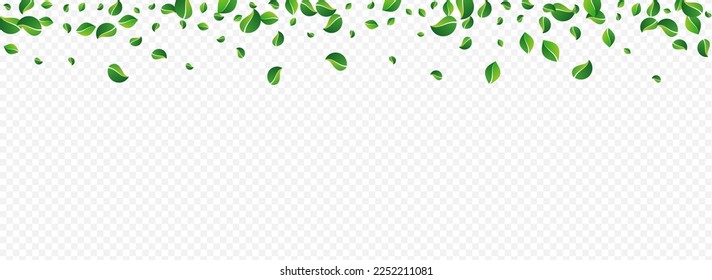 Grassy Leaf Motion Vector Panoramic Transparent Background. Abstract Foliage Concept. Mint Greens Fly Border. Leaves Realistic Brochure.