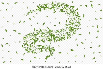 Grassy Leaf Nature Vector Transparent Background Wallpaper. Spring Greens Design. Green Leaves Motion Poster. Foliage Fly Branch.