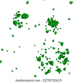 Grassy Leaf Nature Vector White Background Wallpaper. Wind Leaves Banner. Mint Foliage Motion Plant. Greens Swirl Poster.