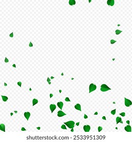 Grassy Leaf Organic Vector Transparent Background Illustration. Blur Foliage Border. Olive Leaves Ecology Banner. Greens Fresh Wallpaper.