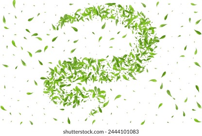 Grassy Leaf Realistic Vector White Background Brochure. Herbal Foliage Branch. Lime Leaves Falling Plant. Greens Swirl Template.