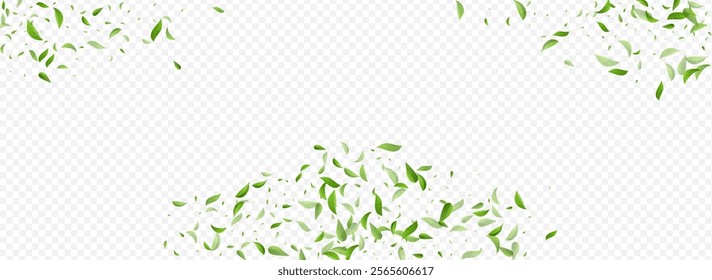 Grassy Leaf Spring Vector Panoramic Transparent Background Pattern. Realistic Leaves Illustration. Olive Greens Wind Design. Foliage Transparent Brochure.