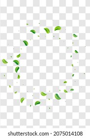 Grassy Leaf Spring Vector Transparent Background Concept. Forest Leaves Wallpaper. Swamp Foliage Abstract Poster. Greens Ecology Illustration.