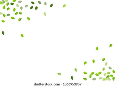 Grassy Leaf Swirl Vektoranlage. Nature Foliage Muster. Sumpf-Blätter Fliegenkonzept. Grüne Transparentes Poster.