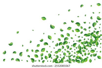 Grassy Leaf Swirl Vector White Background. Spring Foliage Concept. Green Greens Blur Design. Leaves Tree Plant.