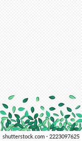 Grassy Leaf Transparent Vector Transparent Background Plant. Organic Leaves Wallpaper. Lime Foliage Spring Brochure. Greens Abstract Border.