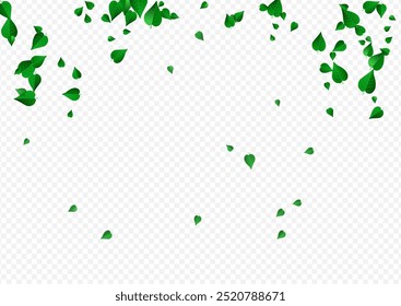 Grassy Leaf Transparent Vector Transparent Background Plant. Fresh Foliage Backdrop. Swamp Leaves Falling Border. Greens Motion Brochure.