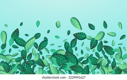Grassy Leaf Transparent Vector Blue Background Brochure. Fresh Foliage Wallpaper. Lime Greens Blur Template. Leaves Falling Branch.