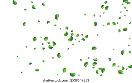 Grassy Leaf Tree Vector White Background. Blur Greens Poster. Lime Foliage Organic Concept. Leaves Nature Backdrop.