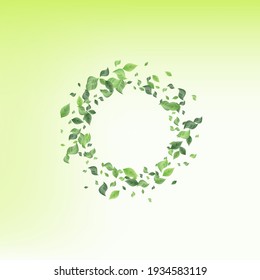 Grassy Leaf Wind Vector Green Background Pattern. Herbal Foliage Wallpaper. Green Greenery Nature Concept. Leaves Spring Plant.