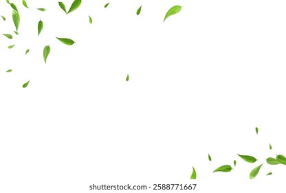 Grassy Leaf Wind Vector White Background Branch. Fresh Greens Banner. Mint Foliage Nature Wallpaper. Leaves Motion Border.