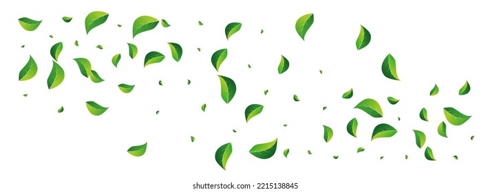 Grassy deja vectorial abstracto fondo blanco panorámico. Planta De Foliage De Movimiento. Diseño Orgánico de Leaf Lime. Fondo de pantalla de la primavera de los verdes.