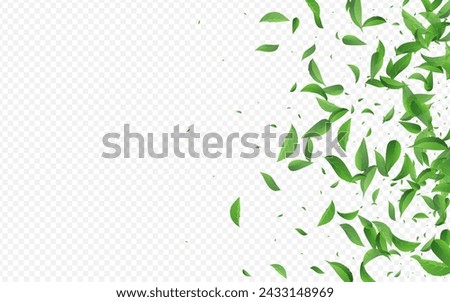 Grassy Leaves Abstract Vector Transparent Background Wallpaper. Blur Foliage Banner. Olive Leaf Realistic Template. Greens Forest Poster.
