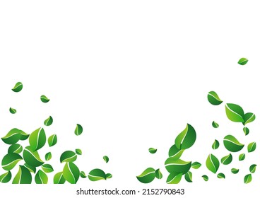 Grassy Leaves Abstract Vector White Background. Ecology Greens Illustration. Green Foliage Flying Branch. Leaf Motion Concept.