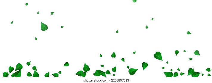 Grassy Leaves Blur Vector Panoramic White Background Template. Tree Foliage Pattern. Mint Greens Tea Banner. Leaf Realistic Brochure.
