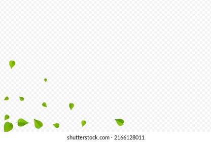 Grassy Leaves Blur Vector Transparent Background Plant. Transparent Greens Wallpaper. Green Leaf Fresh Border. Foliage Organic Poster.