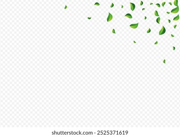 Grassy Leaves Blur Vector Transparent Background. Forest Leaf Pattern. Green Foliage Abstract Branch. Greens Tree Border.