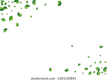 Grassy Leaves Blur Vector White Background. Tea Leaf Template. Lime Greens Tree Pattern. Foliage Wind Backdrop.