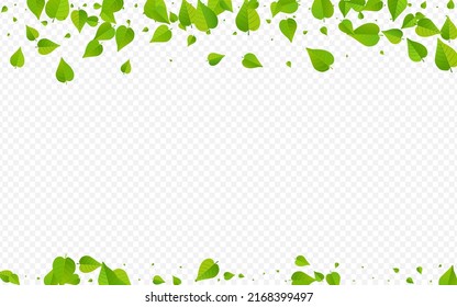 Grassy Leaves Ecology Vector Transparent Background Border. Organic Foliage Concept. Mint Greens Realistic Template. Leaf Tree Branch.