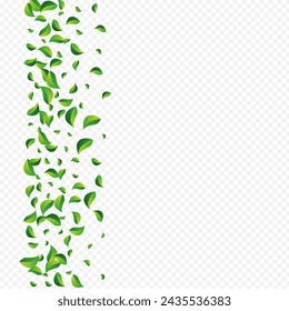 Grassy Leaves Ecology Vector Transparent Background. Wind Greens Banner. Mint Foliage Motion Design. Leaf Herbal Illustration.