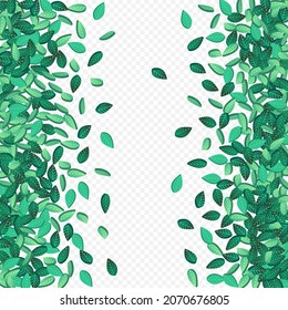 Grassy deja un vector de caída con fondo transparente. Fresca frontera verde. Diseño De Swirl Lime Foliage. Pancarta de la ecología de la hoja.