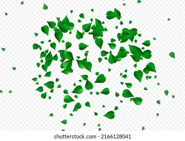 Grassy Leaves Falling Vector Transparent Background Banner. Flying Greens Design. Green Leaf Abstract Poster. Foliage Fly Concept.