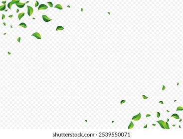 Grassy Leaves Falling Vector Transparent Background. Wind Foliage Wallpaper. Mint Leaf Motion Illustration. Greens Swirl Border.