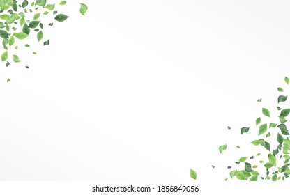 Grassy Leaves Falling Vector White Background Pattern. Flying Greenery Illustration. Green Leaf Ecology Plant. Foliage Wind Border.
