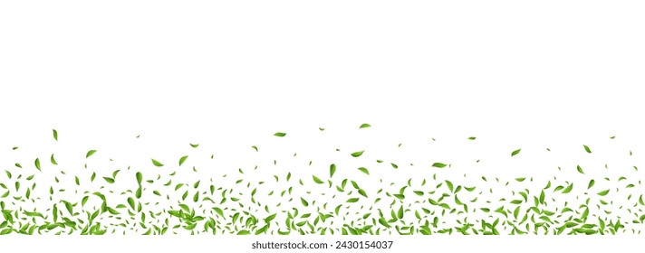 Grassy Leaves Fly Vector Panoramic White Background Banner. Tree Greens Brochure. Forest Leaf Tea Wallpaper. Foliage Ecology Plant.