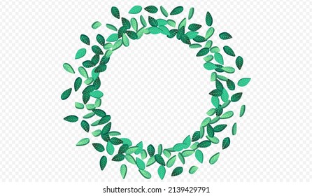 Grassy Leaves Fly Vector Transparent Background Pattern. Ecology Greens Banner. Forest Foliage Realistic Design. Leaf Tree Border.