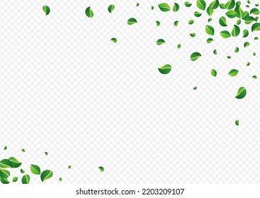 Grassy Leaves Fly Vector Transparent Background. Ecology Foliage Wallpaper. Green Leaf Herbal Backdrop. Greens Forest Pattern.