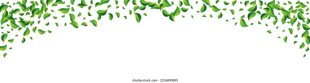Grassy Leaves Flying Vector Panoramic White Background. Herbal Leaf Wallpaper. Swamp Foliage Organic Branch. Greens Forest Illustration.