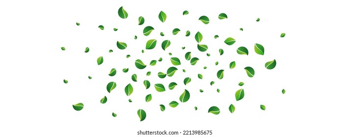 Grassy Leaves Forest Vector Panoramic White Background. Tree Greens Pattern. Forest Leaf Organic Wallpaper. Foliage Fly Design.