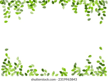 Grassy Leaves Forest Vector Template. Organic Leaf Brochure. Swamp Foliage Tree Pattern. Greens Fresh Branch.
