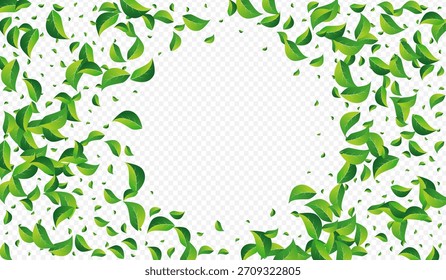 Fondo transparente del Vector forestal de las hojas herbáceas. Folleto de hojas Abstractas. Afiche de Movimiento Verde. Fondo de pantalla de desenfoque de follaje.