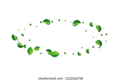 Grassy Leaves Fresh Vector White Background. Blur Leaf Pattern. Olive Foliage Ecology Backdrop. Greens Abstract Template.