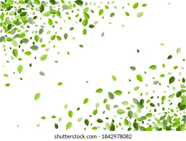 Grassy Leaves Herbal Vector Concept. Fly Greens Wallpaper. Swamp Leaf Tea Illustration. Foliage Wind Banner.