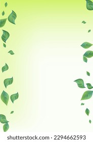 Papel de fondo verde del vector de movimiento Grassy. Patrón de vegetación de árboles. Borde Swirl Lime Leaf. Plantilla De Desenfoque De Foliage.