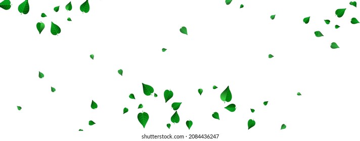 Grassy deja un vector de movimiento con plantilla de fondo blanco panorámico. Borde de follaje transparente. Afiche de la Ecología de la Casa de la Moneda Verde. Pancarta de la mosca de la hoja.
