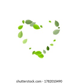 Grassy Leaves Motion Vector Plant. Herbal Greens Brochure. Lime Foliage Forest Background. Leaf Spring Backdrop.