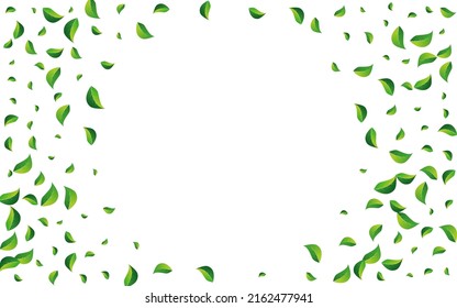 Grassy Leaves Motion Vector White Background. Forest Foliage Illustration. Swamp Leaf Organic Backdrop. Greens Wind Concept.
