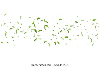 Grassy Leaves Motion Vector White Background Plant. Fly Foliage Design. Green Leaf Wind Pattern. Greens Tree Template.