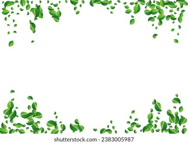Graue Blätter Bewegung, Vektorweißer Hintergrund. Realistisches Greens Design. Mint Foliage Blur Banner. Leaf Organic Poster.