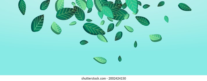 Grassy Leaves Nature Vector Panoramic Blue Background Branch. Flying Foliage Pattern. Forest Leaf Fresh Background. Greens Transparent Design.