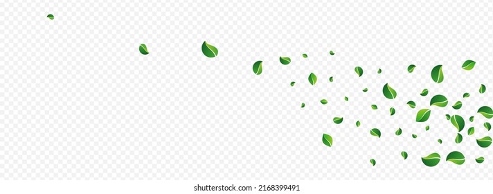 Grassy Deja El Vector De La Naturaleza Fondo Panorámico Transparente. Afiche de Foliage de primavera. Concepto Forestal Lime Leaf. Plantilla Resumen de Verdes.